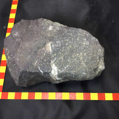 Porphyritic Andesite