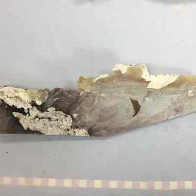 Opalite in Agate