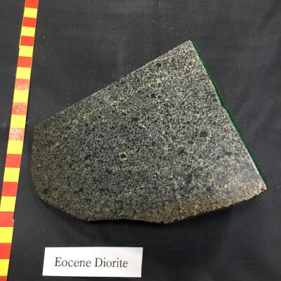 Eocene Diorite