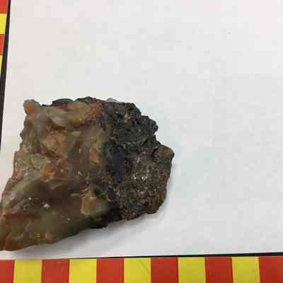 Willow Creek Agate
