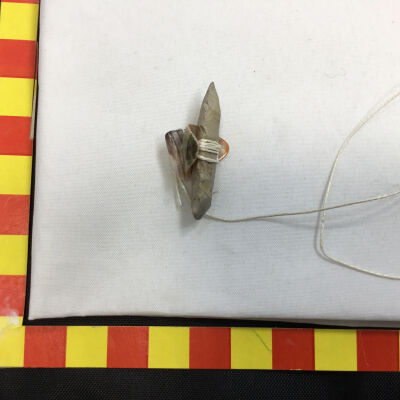 Chert & Shell