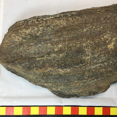 Gneiss