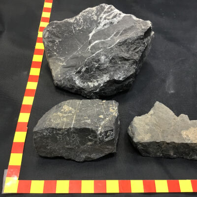 Cherty Limestone