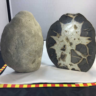 Septarian Bookends (Calcite)