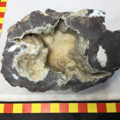 Owyhee Rhyolite