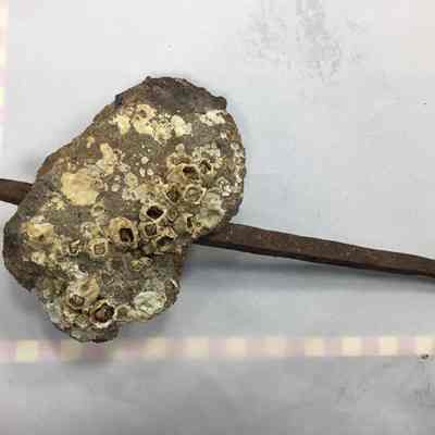 Sandstone w/ Iron Spike
