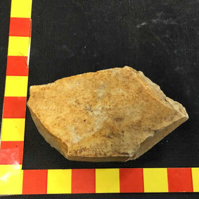 White Jasper