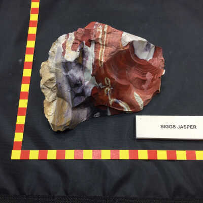 Biggs Jasper