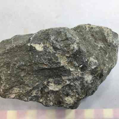 Andesite with Quartz filled vug
