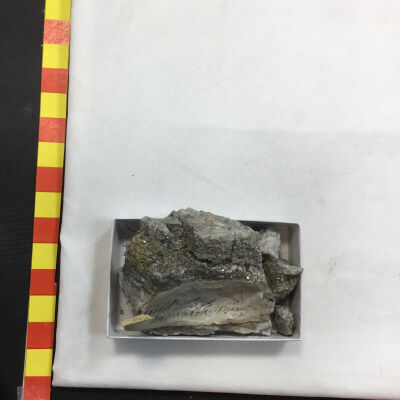 Iron Pyrite with gold ore