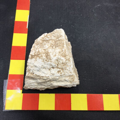Tuffaceous Pumice
