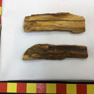 Post fossilization wood fragment