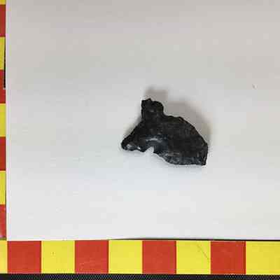 Projectile Point