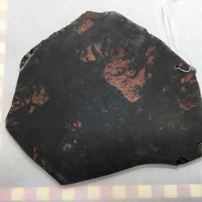 Mahagony Obsidian