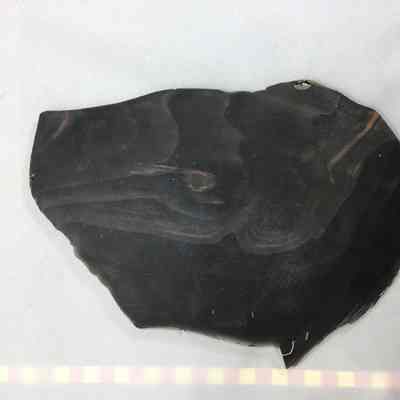 Rainbow Obsidian