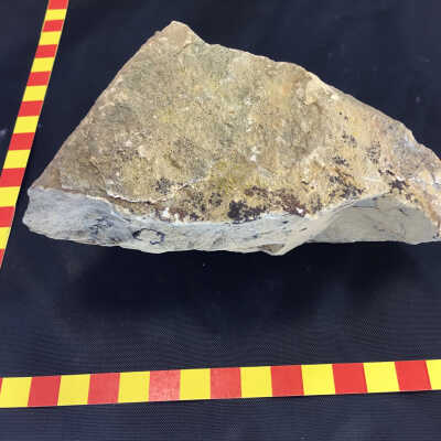 Fossiliferous volcanic tuff