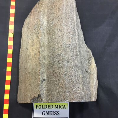 Gneiss