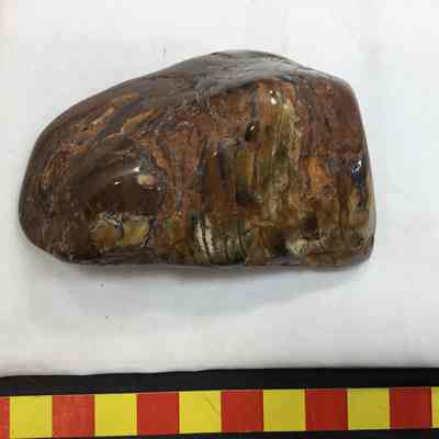 Bruneau Jasper Nugget