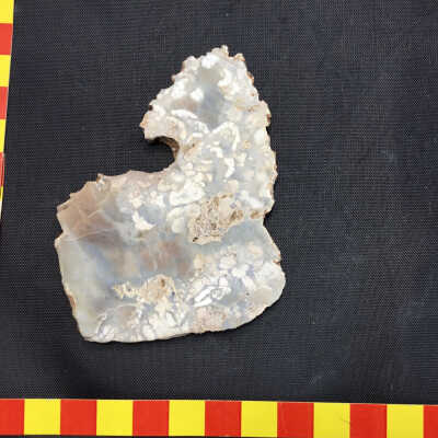 Bracciated Agate