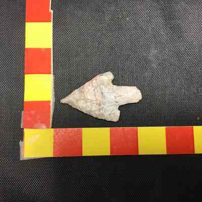 Agate Fishing Projectile Point