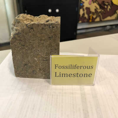 Fossiliferous Limestone