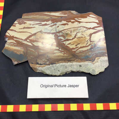 Original Picture Jasper #1