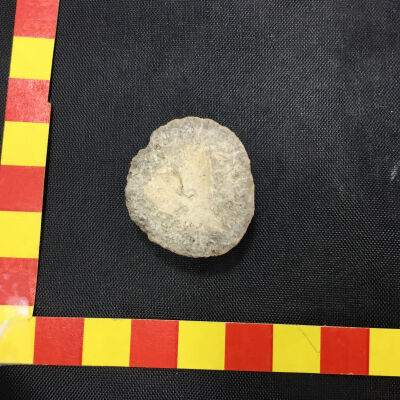 Moqui Ball Fossil Concretion