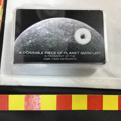 NWA 7325 Meteorite