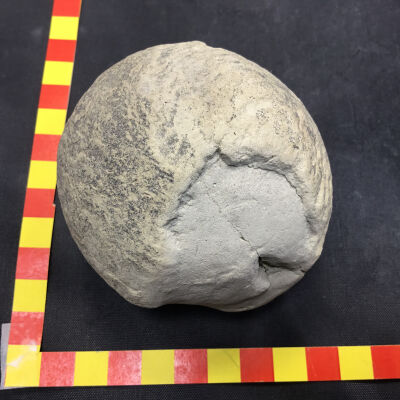 Mud Ball Concretion