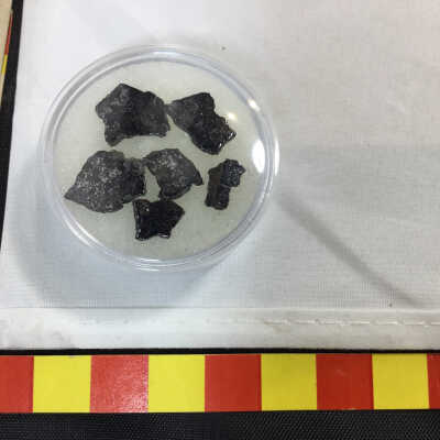 Vaca Muerta Mesosiderite Meteorite