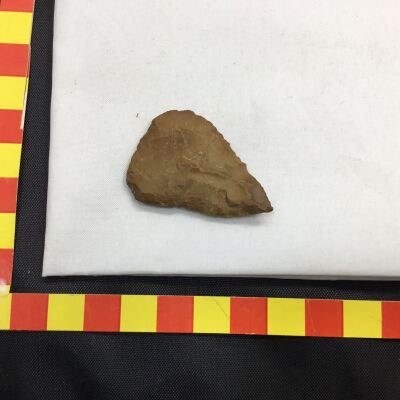 Yellow Jasper Arrow head