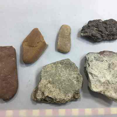 Rhyolite Clast (Reef Beach)
