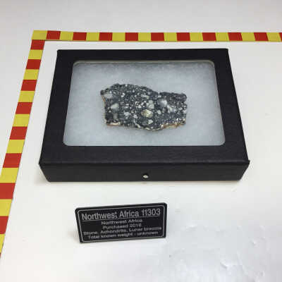 Northwest Africa 11303 Meteorite