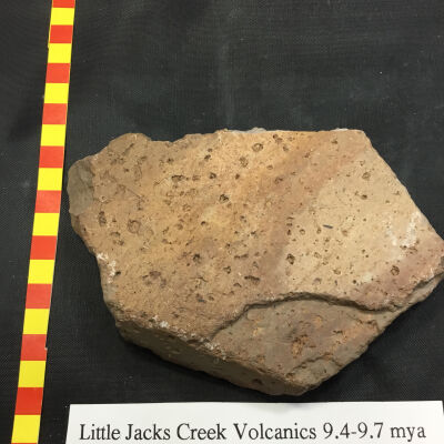 Little Jacks Creek Volcanics