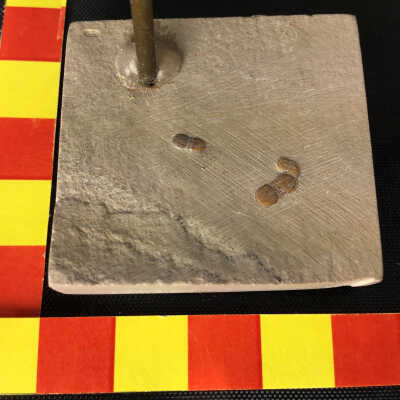 Agnostus Trilobites in Shale