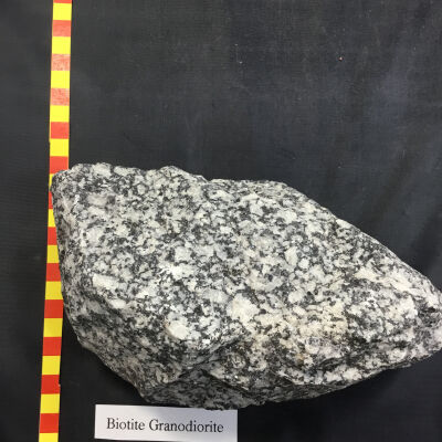 Biotite Granodiorite