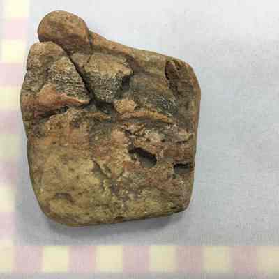 Banded Rhyolite