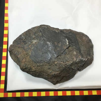 Bog Iron
