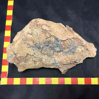 Agate Material for Tool Making