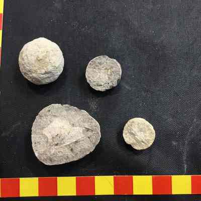 Moqui ball (4pcs)