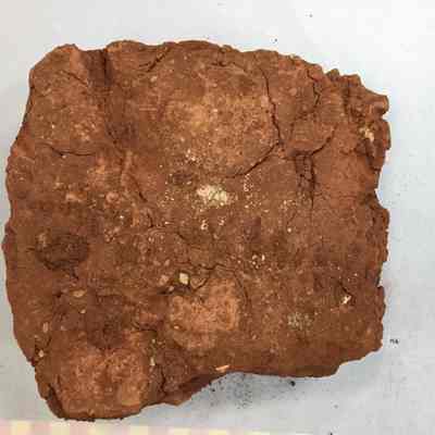Laterite Red Soil