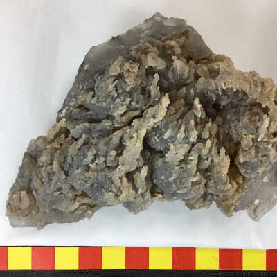 Smoky Angel Wing Agate