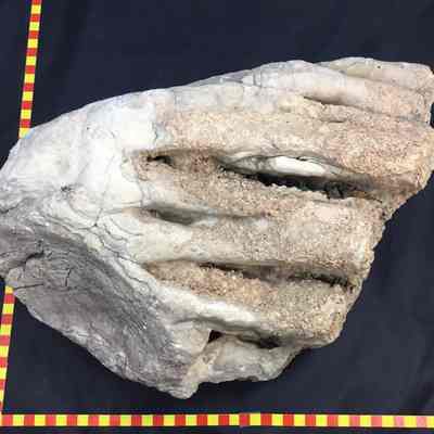 Travertine