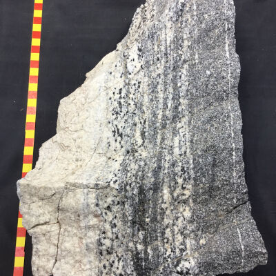 Granodiorite Gneiss Contact