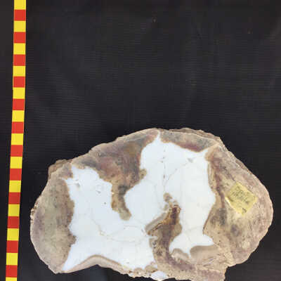Opal Nodule
