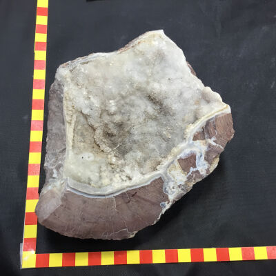 Geode with Drewsey Quartz