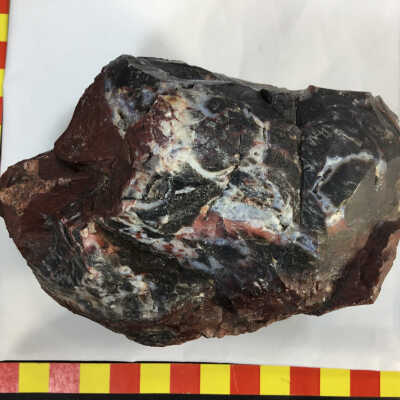 Bruneau Jasper