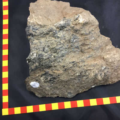 Iron and Gold Ore