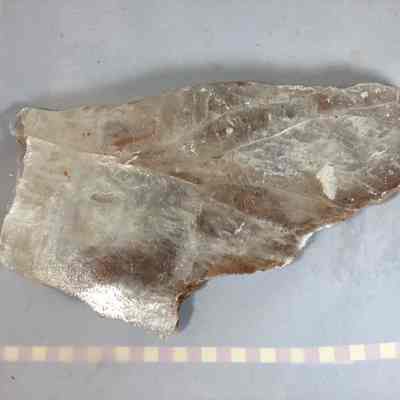 Gypsum