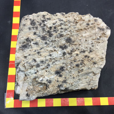 Granitized Gneiss